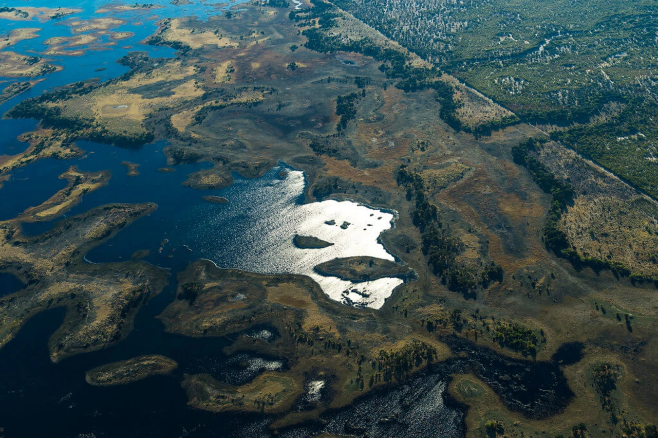 Delta de l'Okavango, Botswana