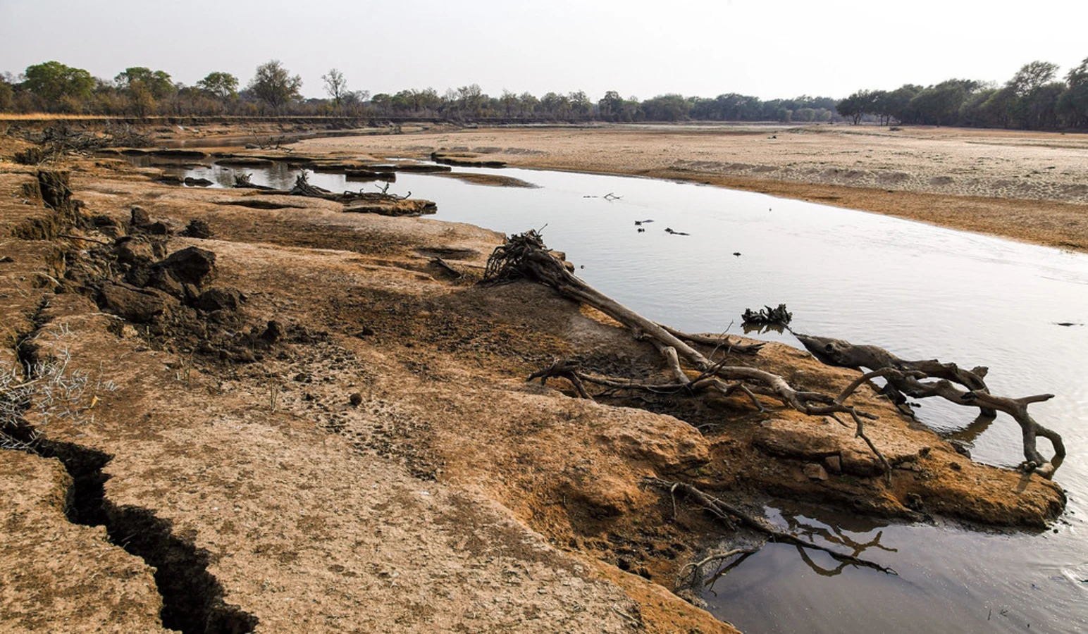 Parc national de Luangwa-Nord, Zambie