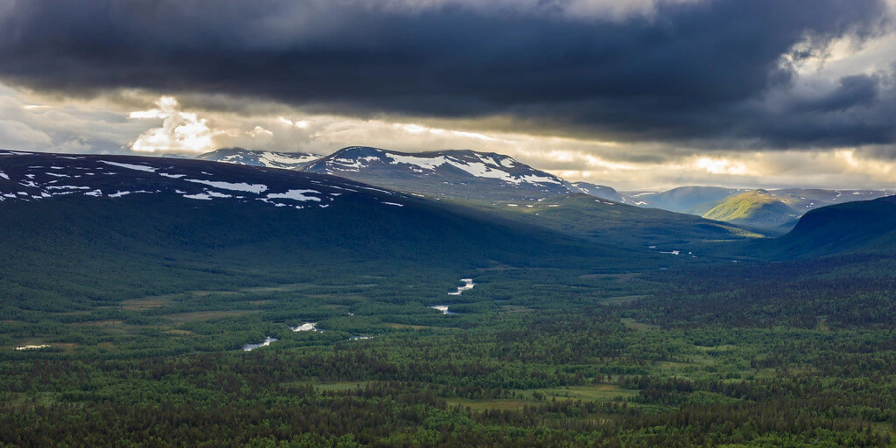 Réserve naturelle de Vindelfjallen, Suède