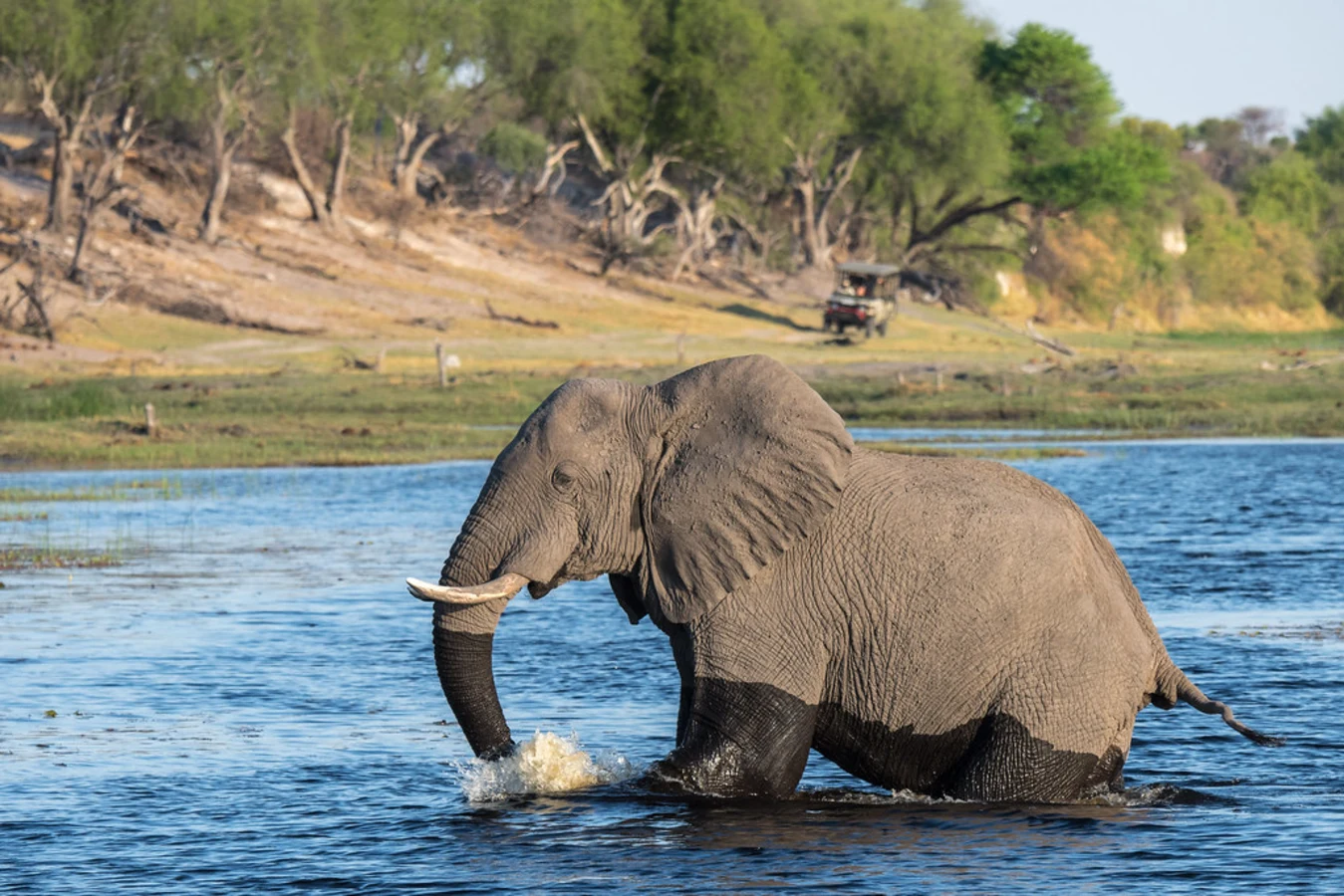 Boteti River, Botswana