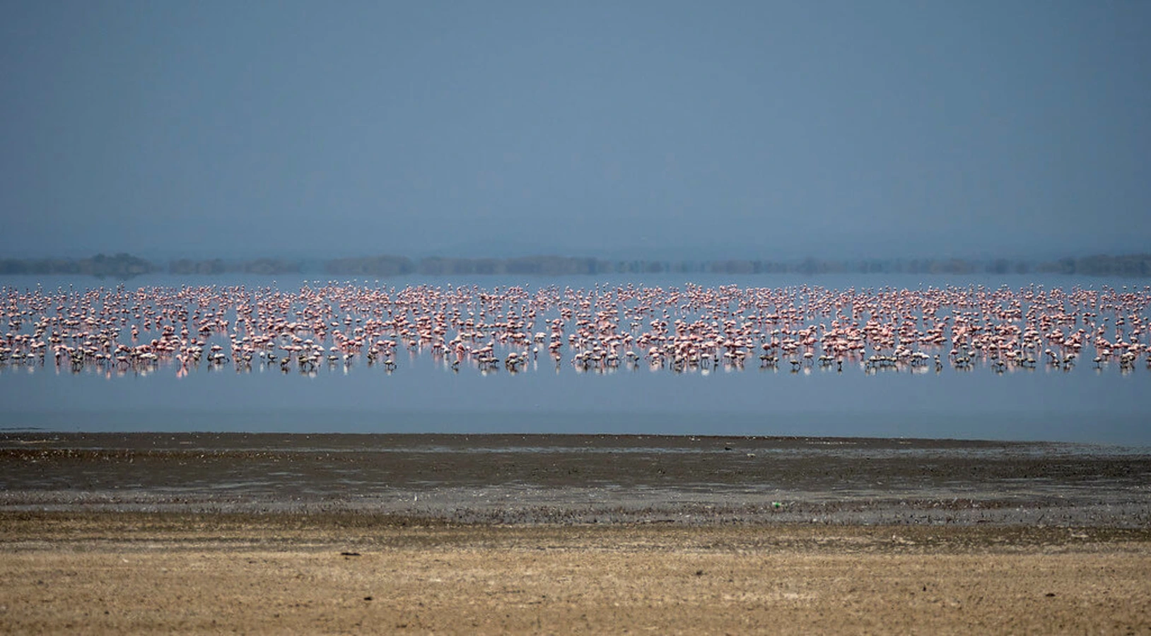 Lac Manyara, Tanzanie