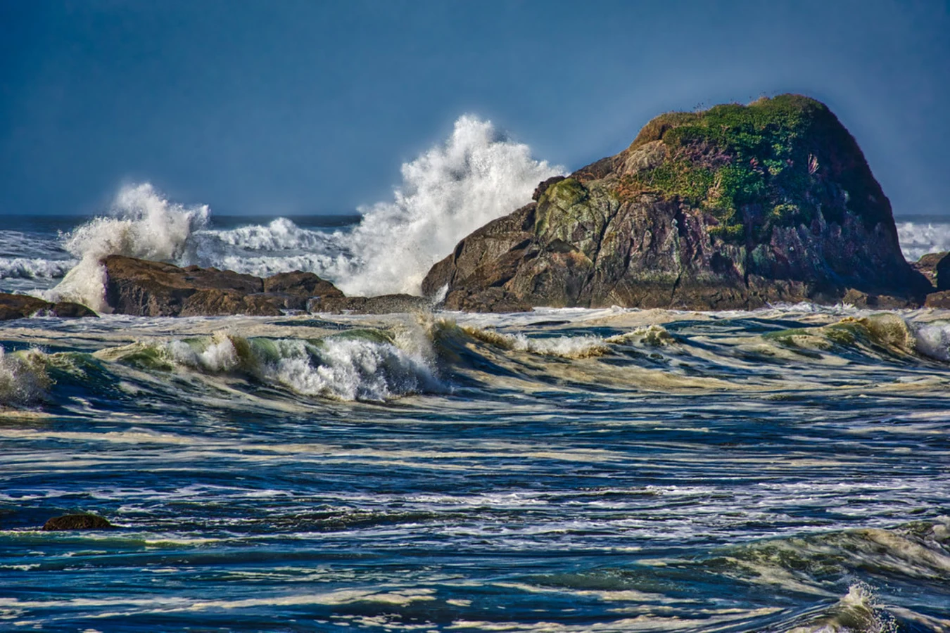 Kalaloch Beach, États-Unis