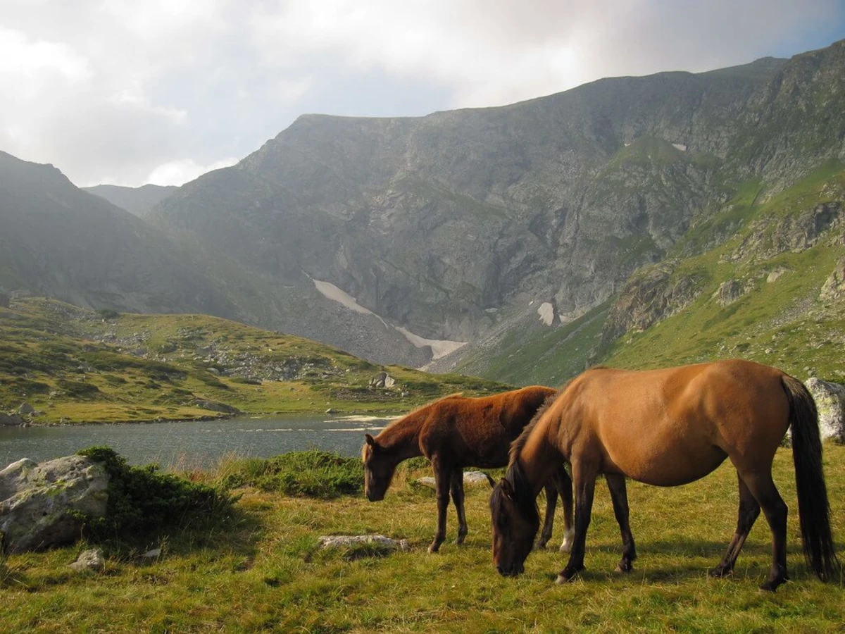 Sept lacs du Rila, Bulgarie