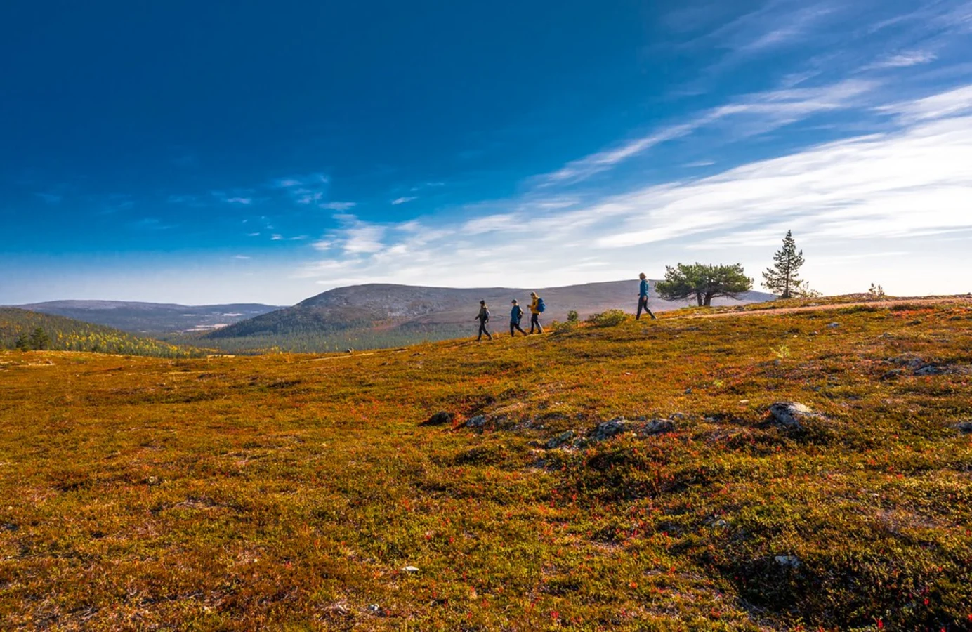 Hetta - Pallas Hiking Trail, Finlande