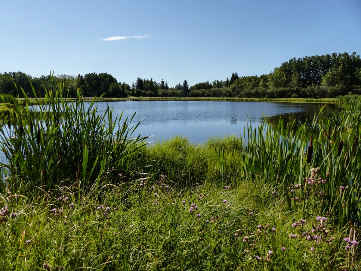 Moose Ponds, Canada