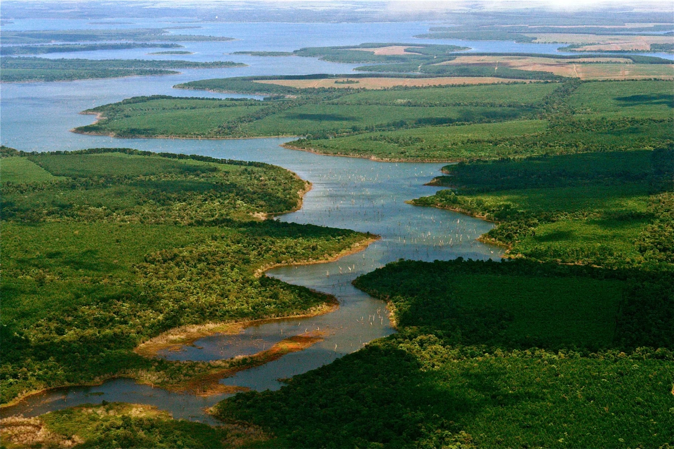 Réserve naturelle de l'Iberá, Argentine