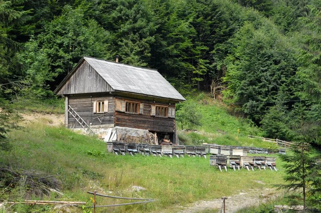 Parc naturel Apuseni, Roumanie