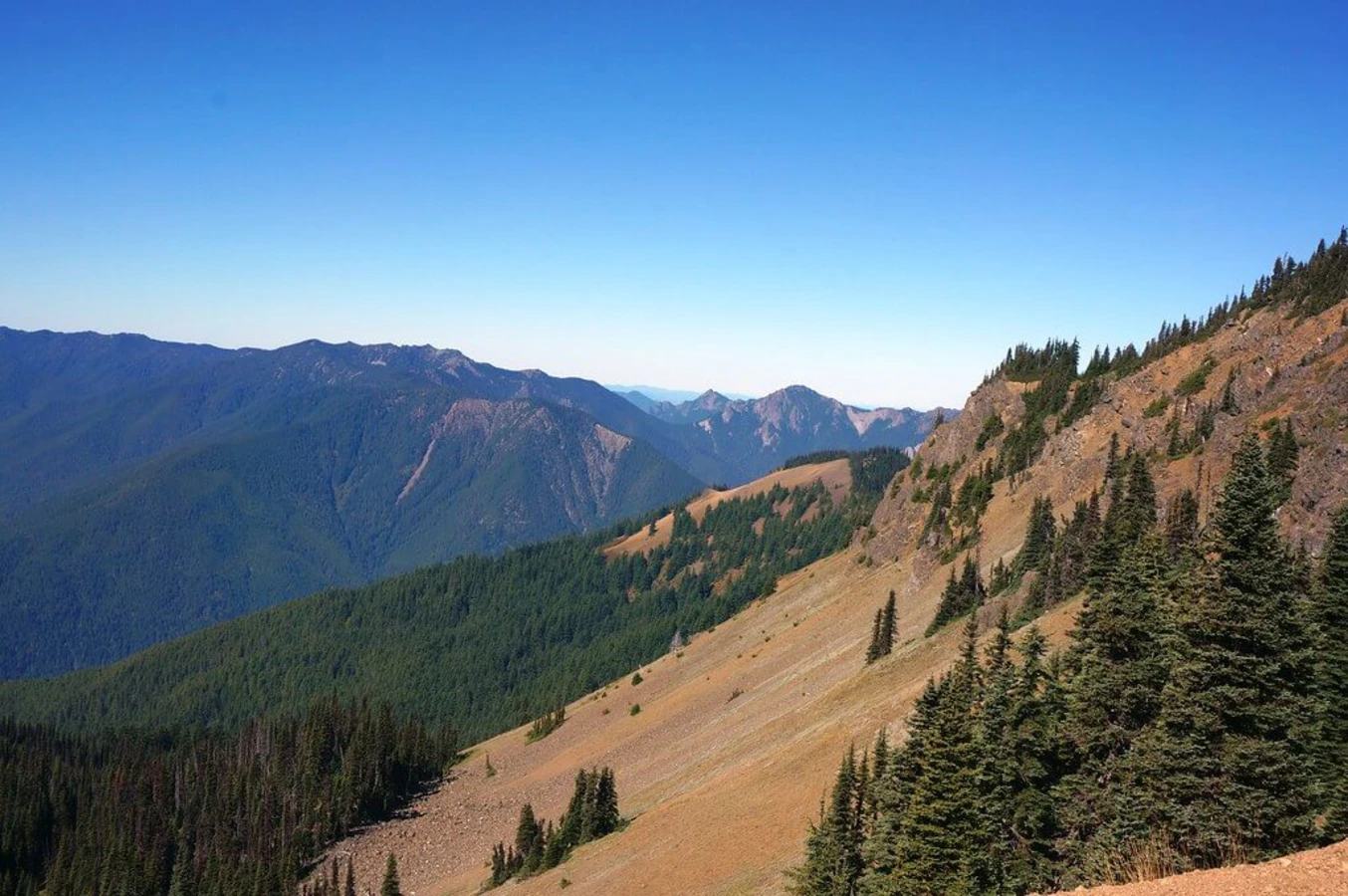 Parc national Olympique, États-Unis