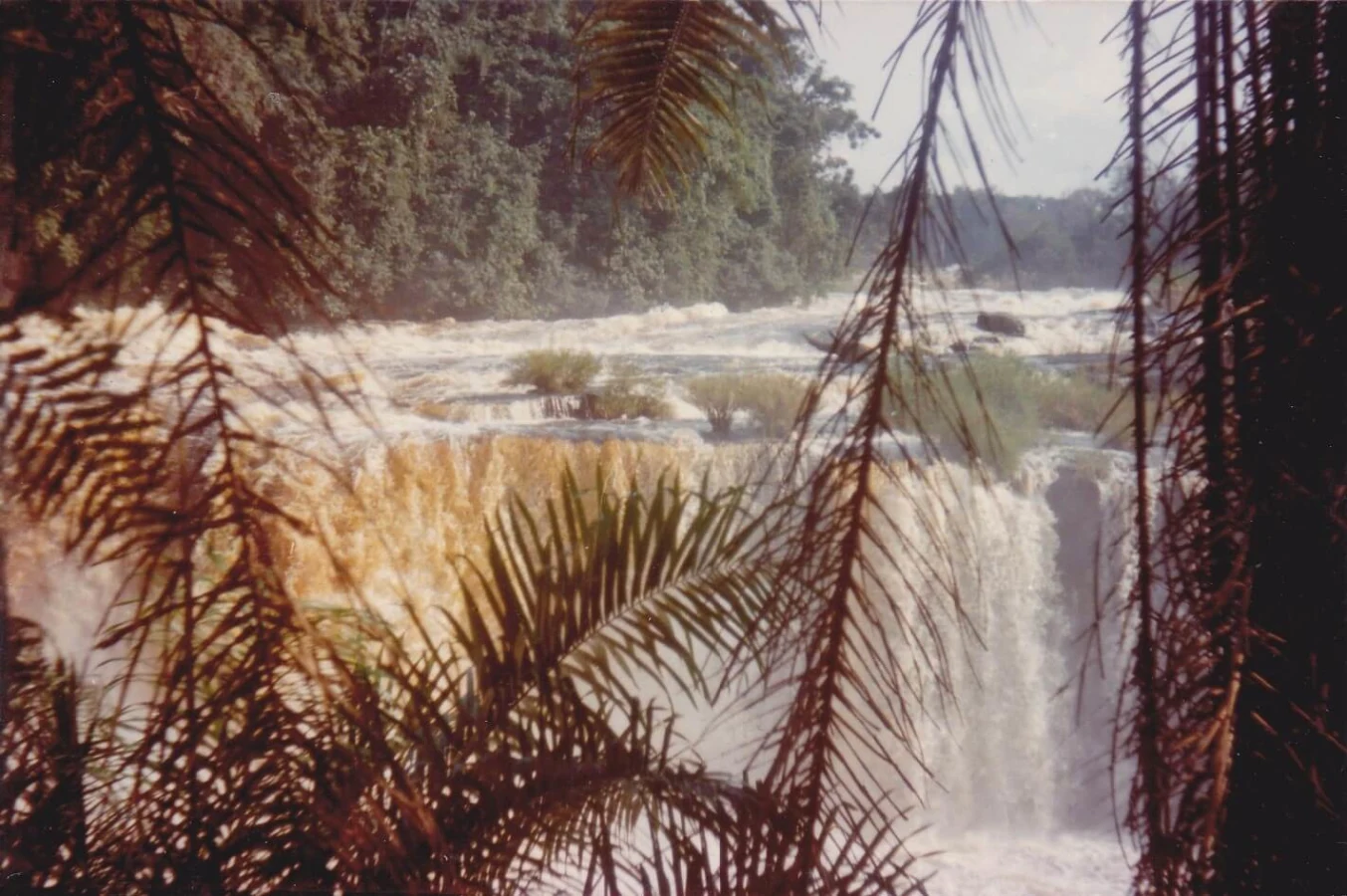 Pont de lianes de Poubara, Gabon