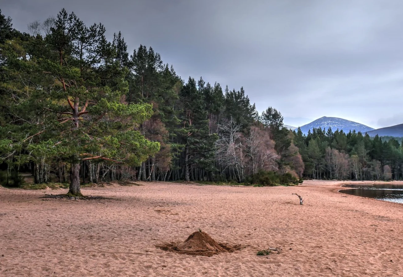 Cairngorms, Écosse