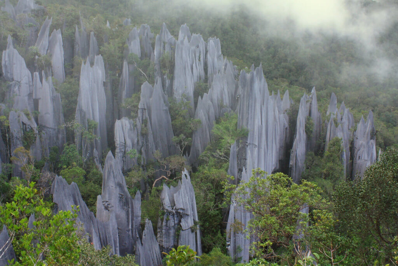 Gunung Api, Malaisie