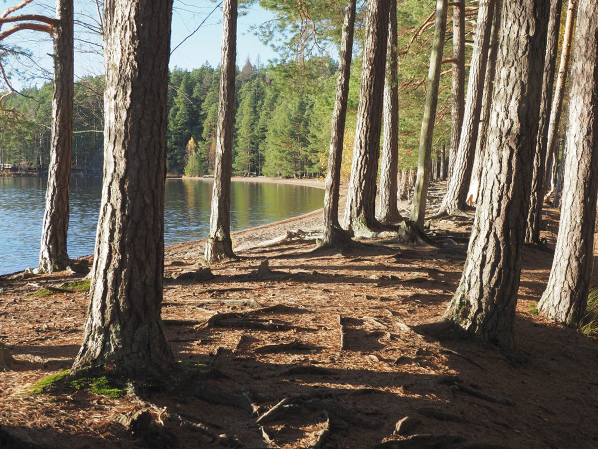 Parc national de Tiveden, Suède, Suède