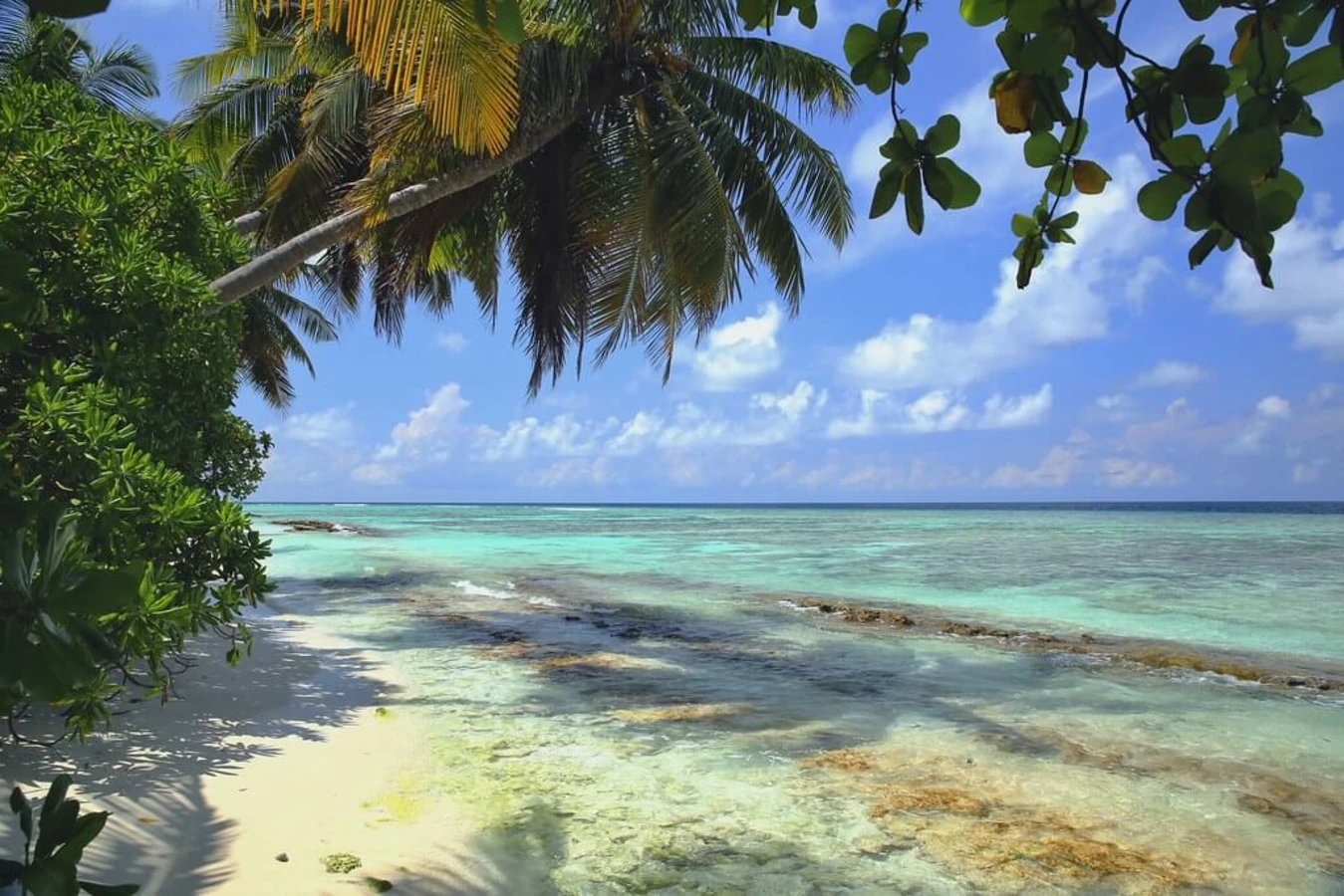 Atoll de Baa, Maldives