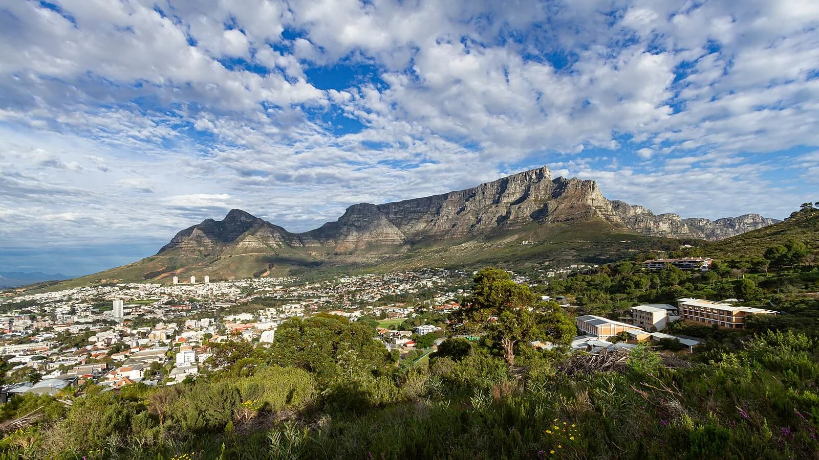 Montagne de la Table, Afrique du Sud