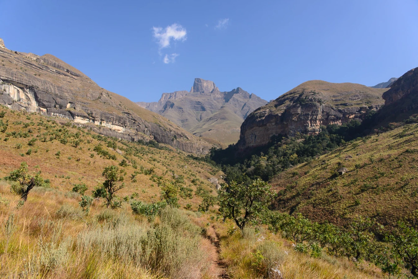 Parc national de Royal Natal, Afrique du Sud
