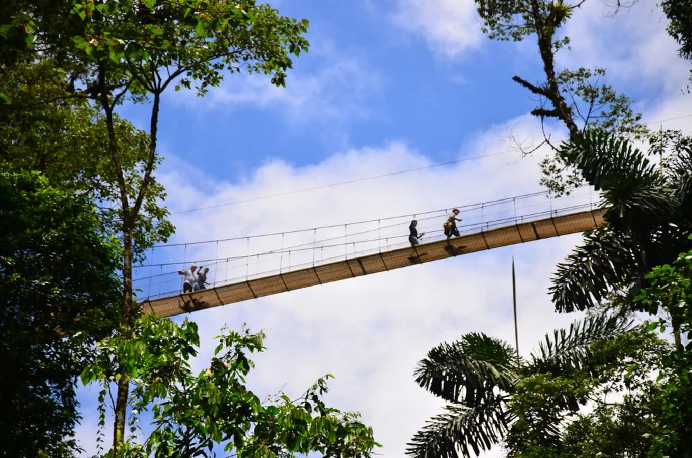 Mistico Arenal Hanging Bridges, Costa Rica
