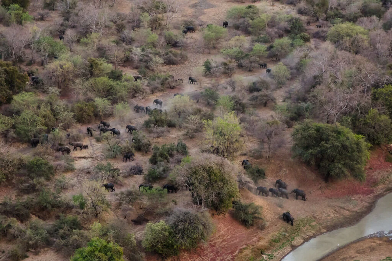 Parc national de Zakouma, Tchad