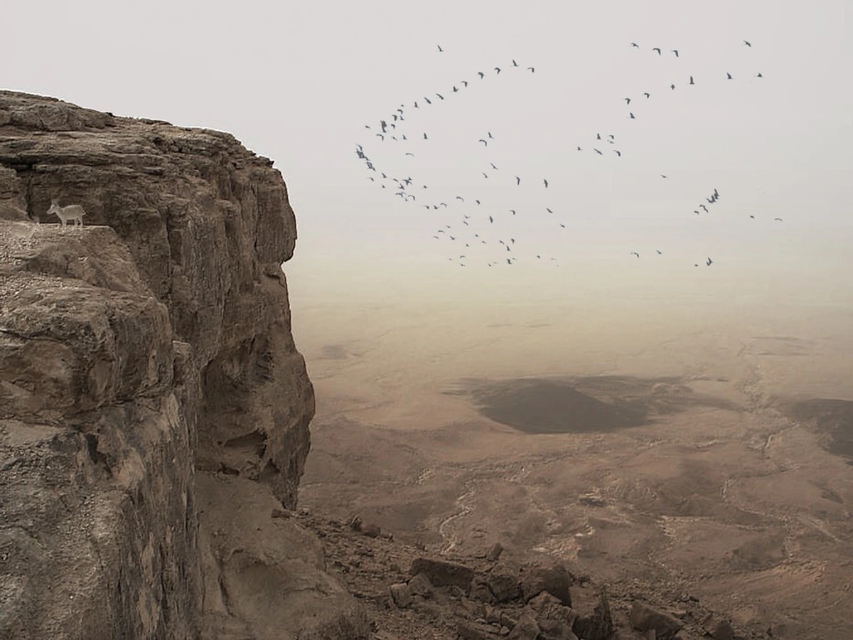 Makhtesh Ramon, Israël