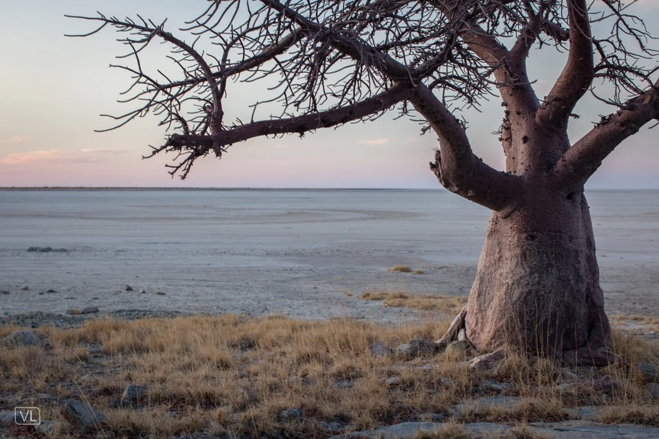 Kubu Island, Botswana