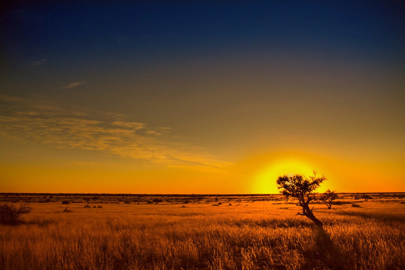 Désert du Kalahari, Botswana, Botswana, Botswana, Botswana, Namibie, Namibie, Namibie, Botswana, Afrique du Sud, Botswana