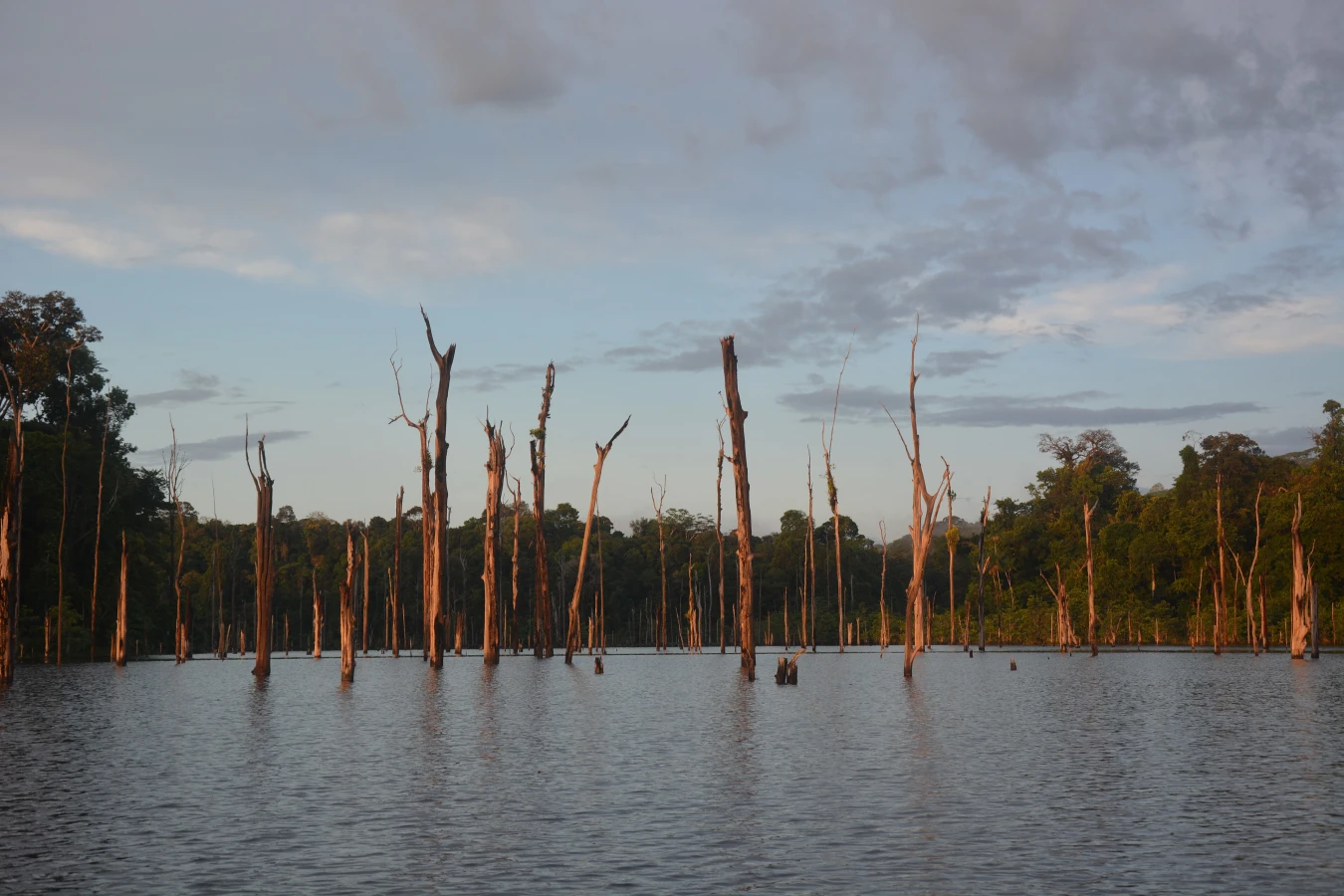 Lac de Petit-Saut, Guyane française