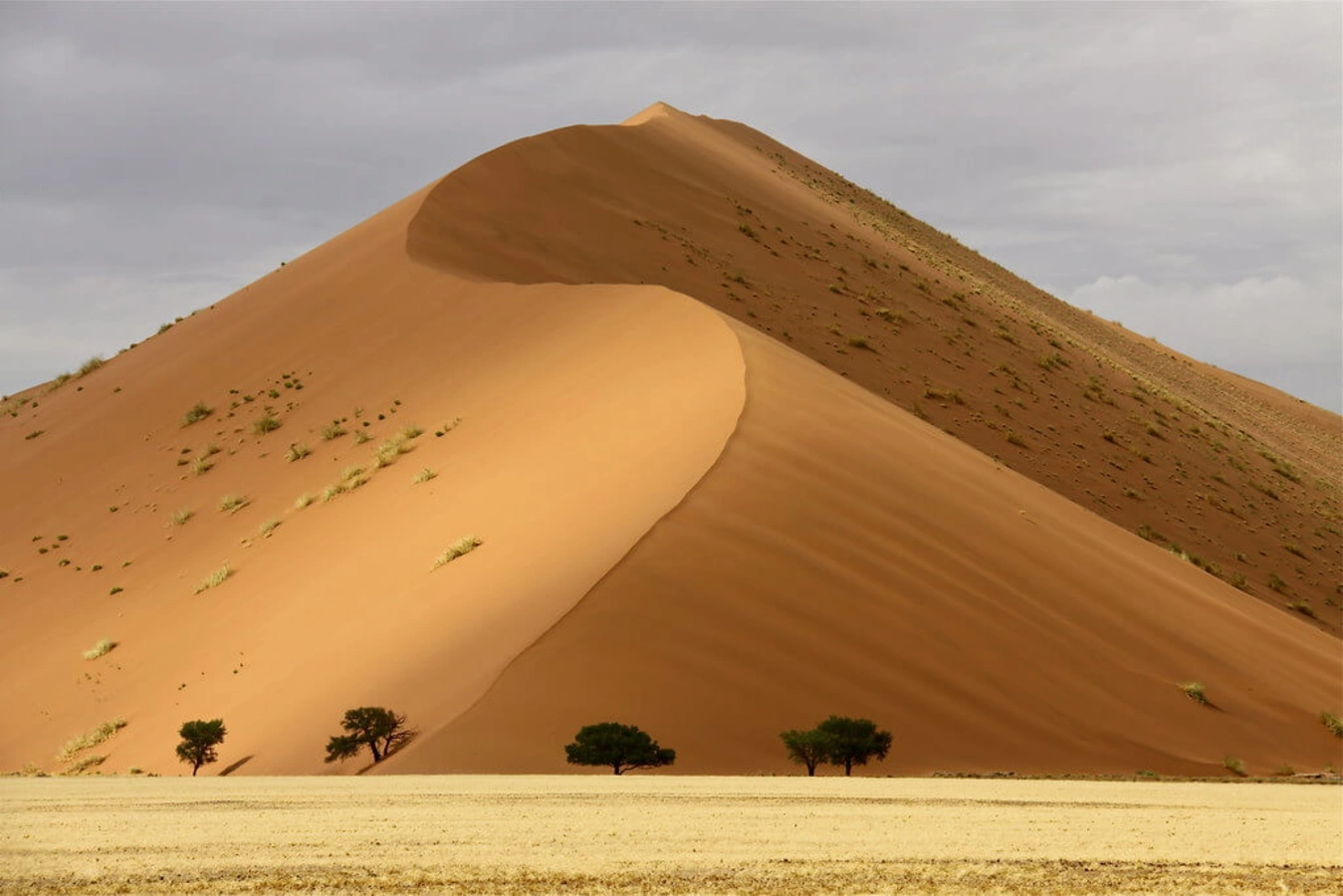 Dune 45, Namibie