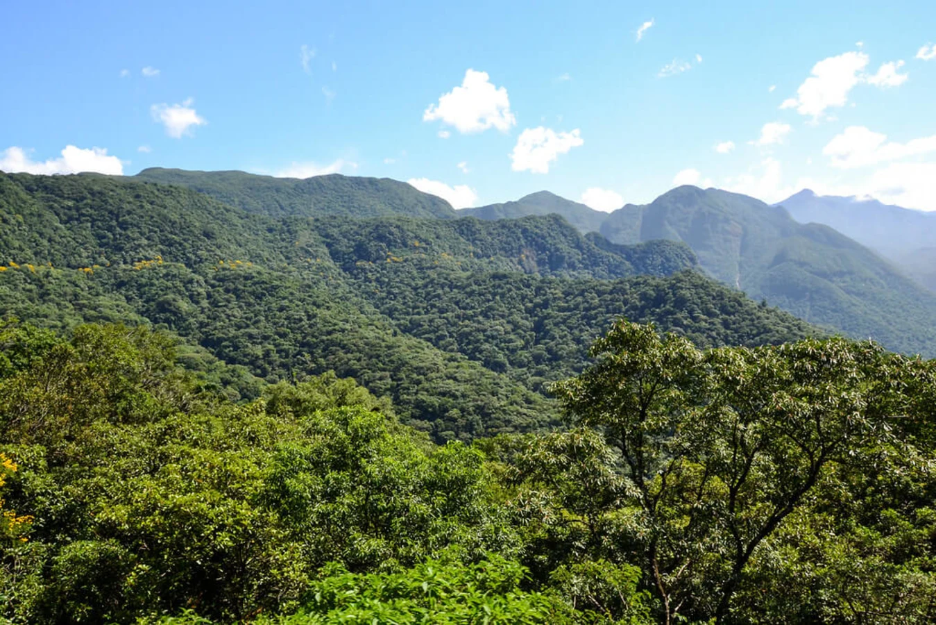 Serra Verde Express, Brésil