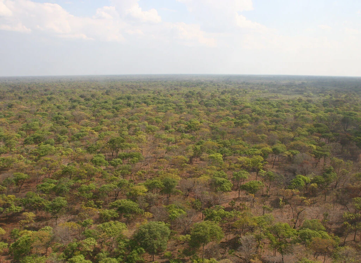 Parc national de Kafue, Zambie