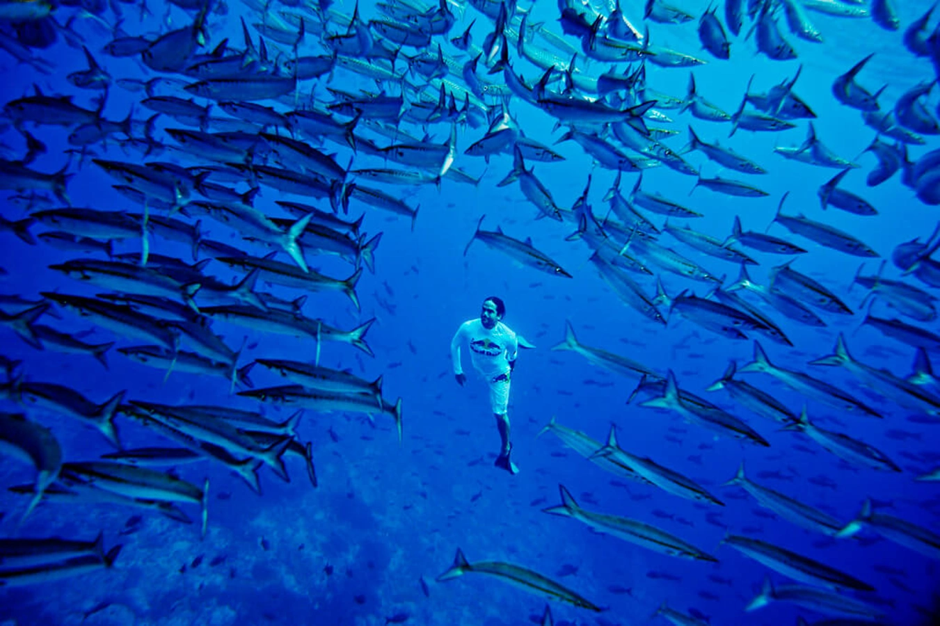Île de Malpelo, Colombie