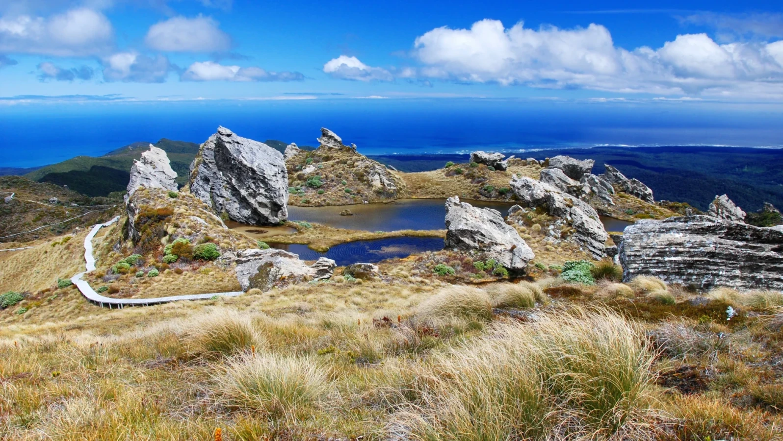 Hump Ridge Track, Nouvelle-Zélande