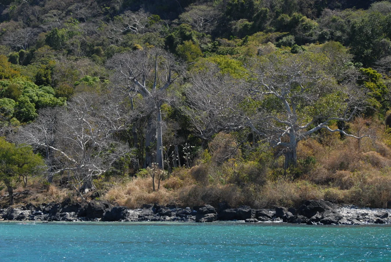 Nosy Ankarea, Madagascar
