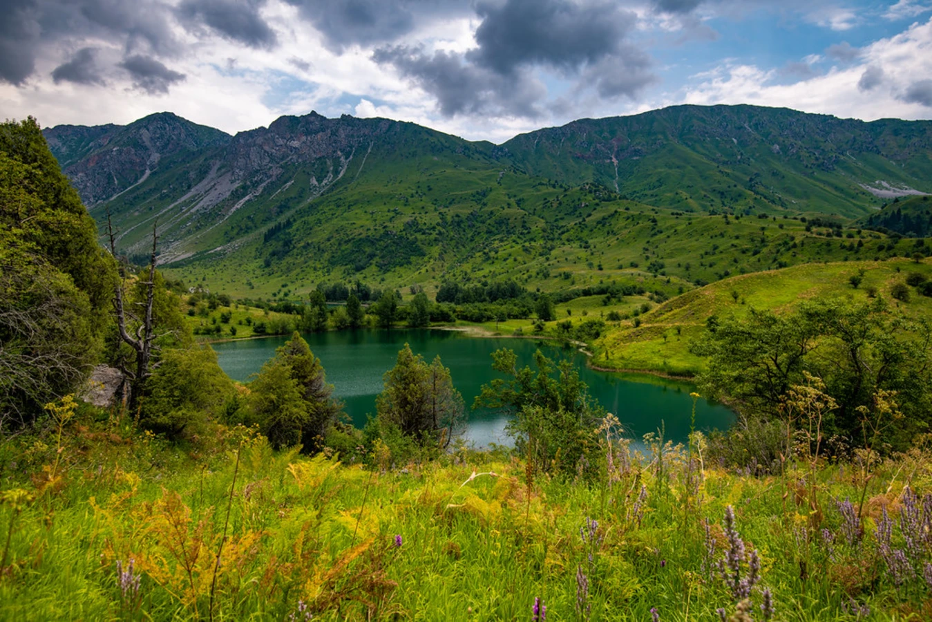Réserve naturelle de Sary-Chelek, Kirghizistan