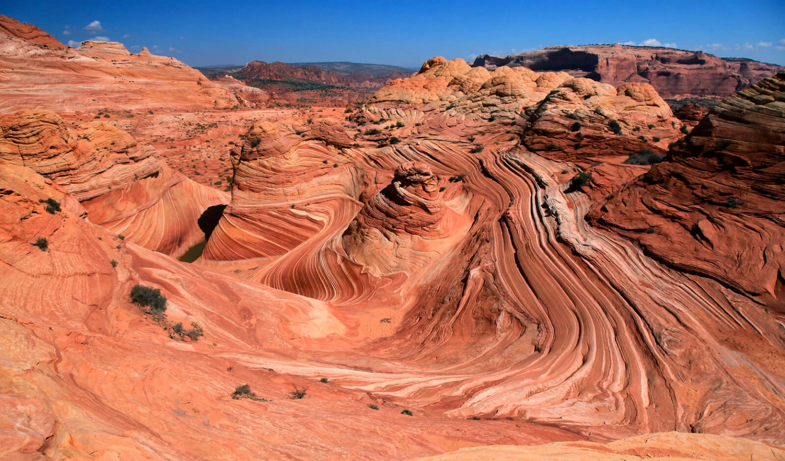 The Wave, États-Unis