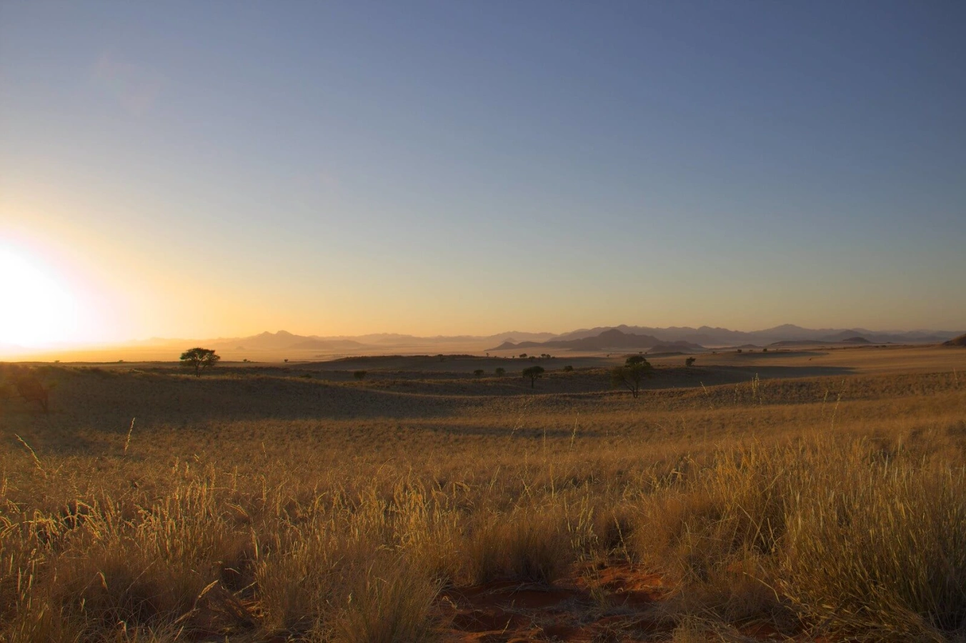 Tok Tokkie Hiking Trails, Namibie