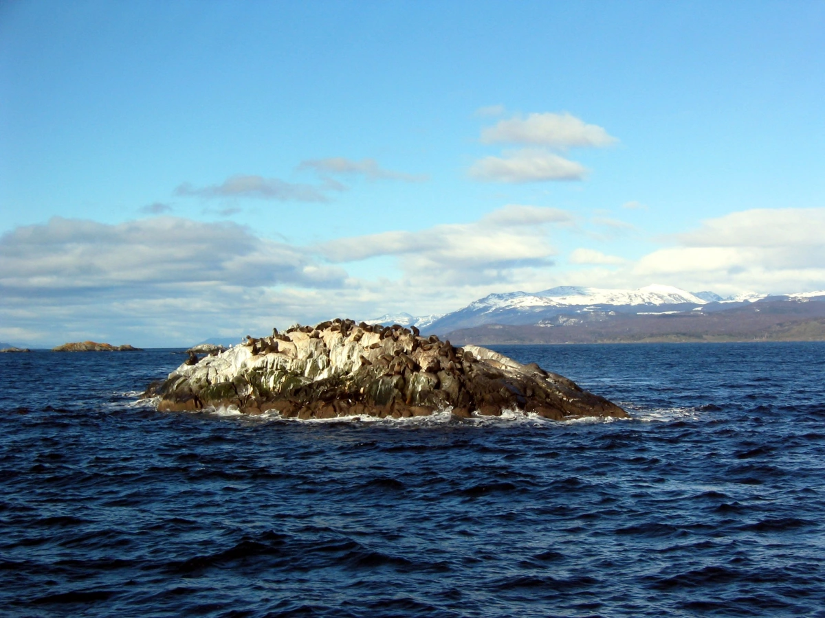 Îlots Les Éclaireurs, Argentine