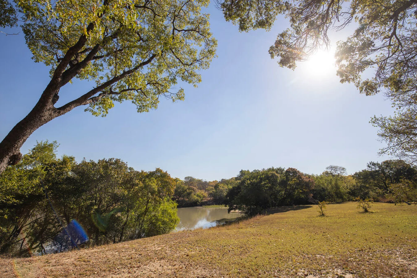 Parc national de Kafue, Zambie