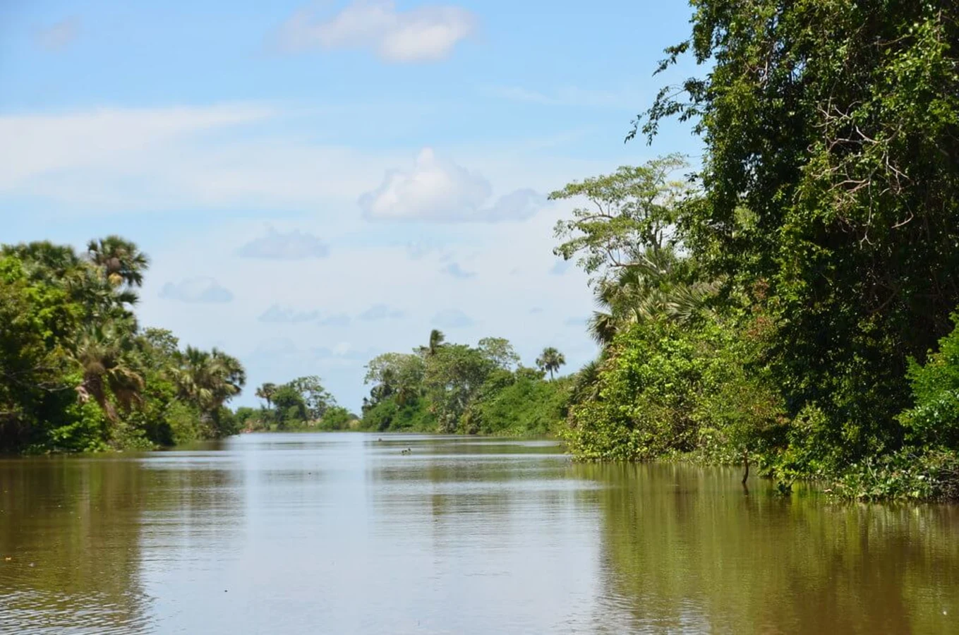 Pantanos de Centla, Mexique