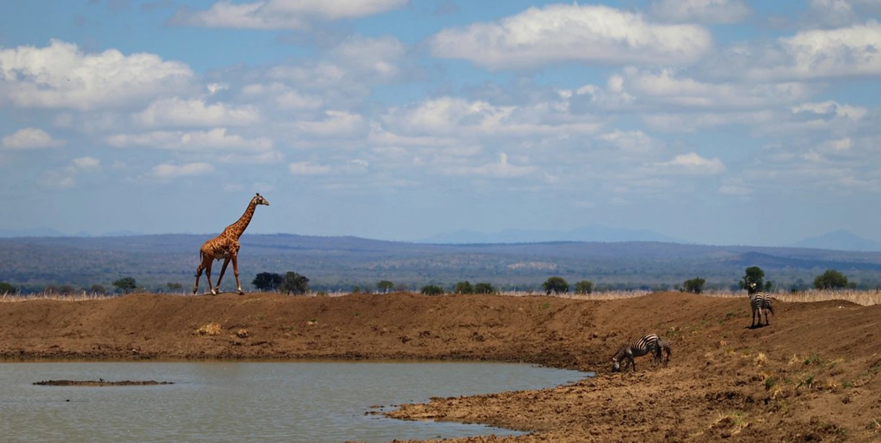 Parc national de Mikumi, Tanzanie