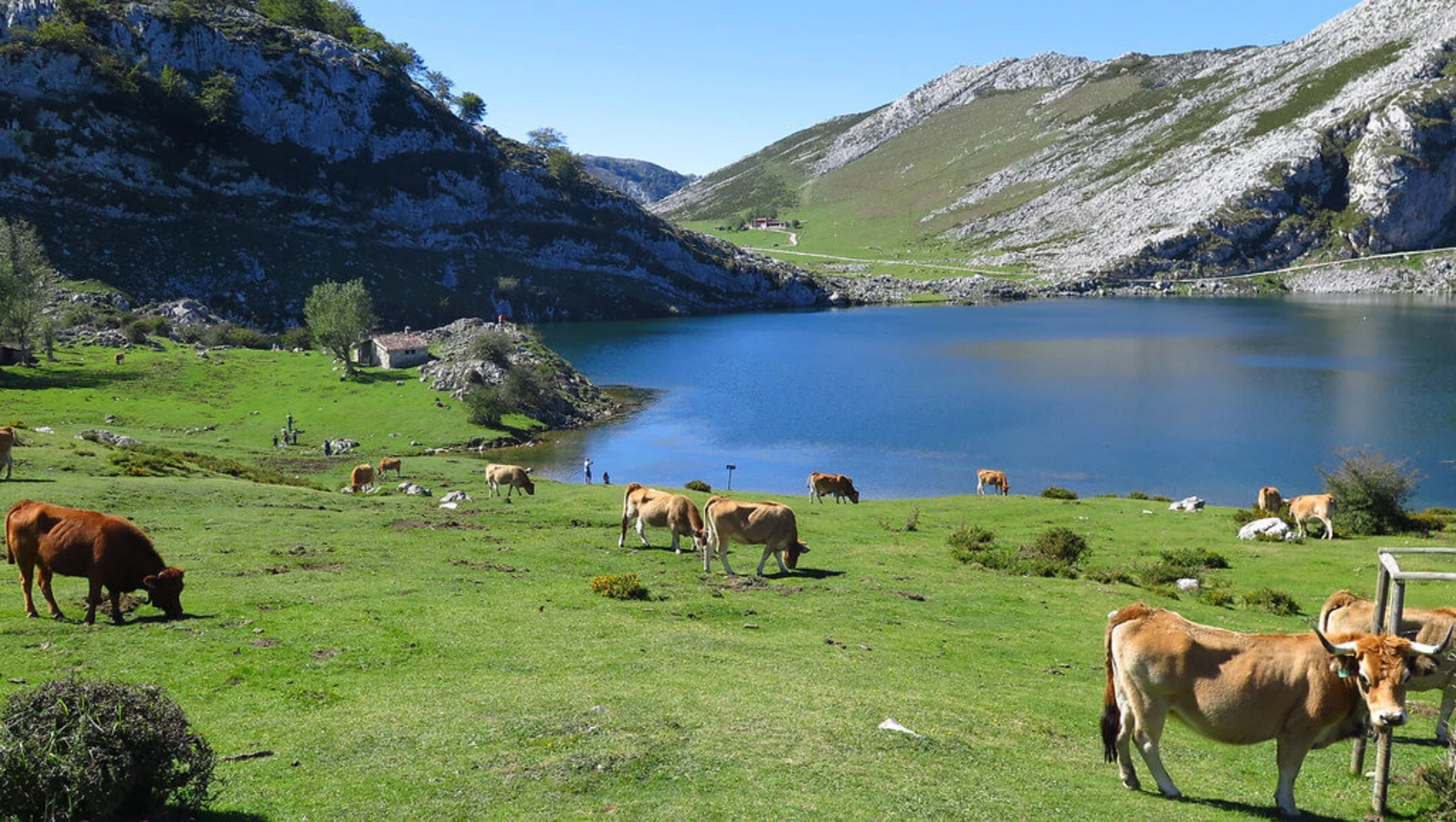 Lacs de Covadonga, Espagne