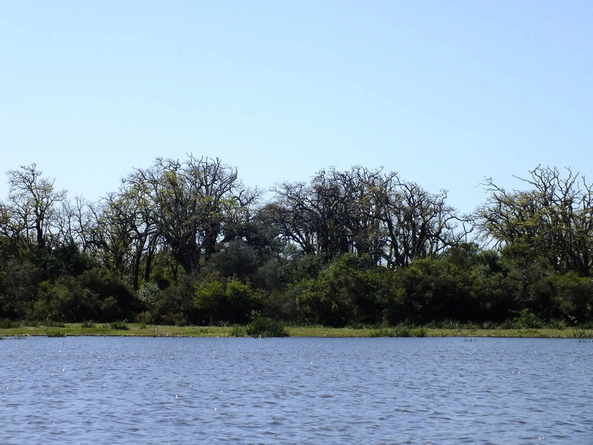 Laguna de Castillos, Uruguay