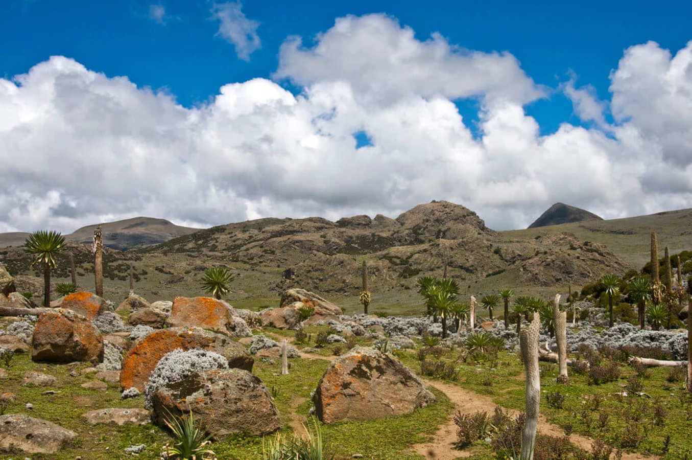 Parc national du Mont Balé, Éthiopie