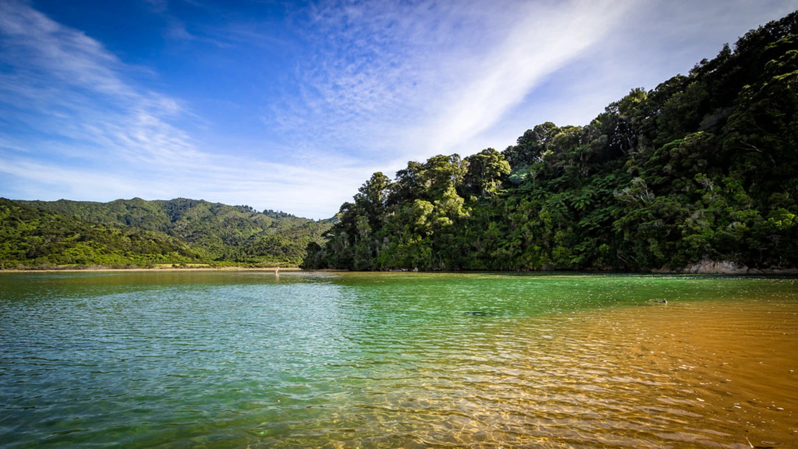 Parc national Abel Tasman, Nouvelle-Zélande