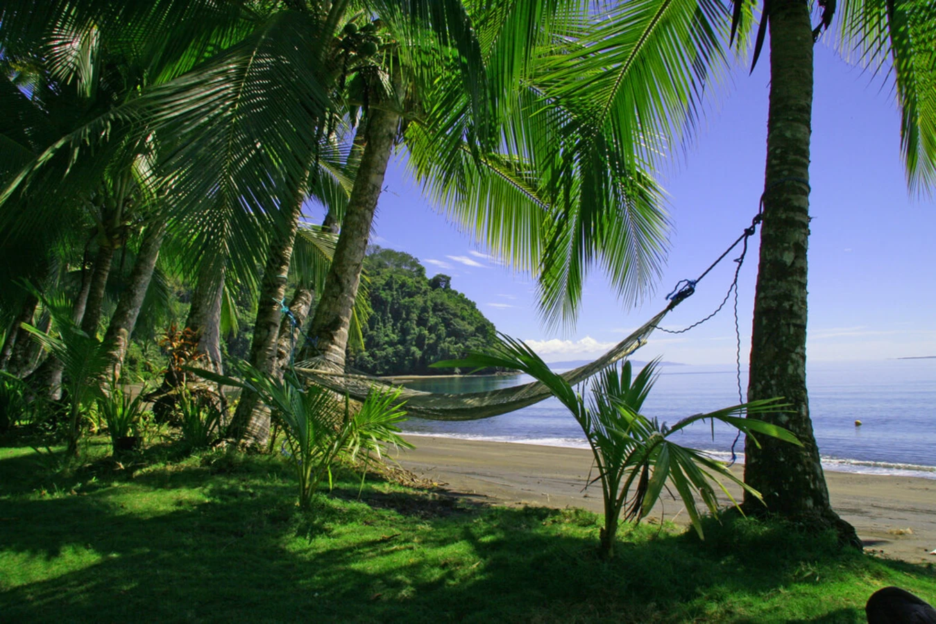 Péninsule d'Osa, Costa Rica