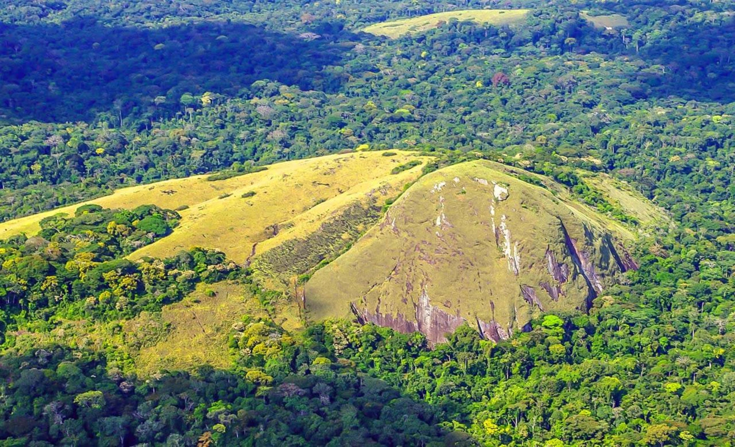 Parc national de Minkébé, Gabon