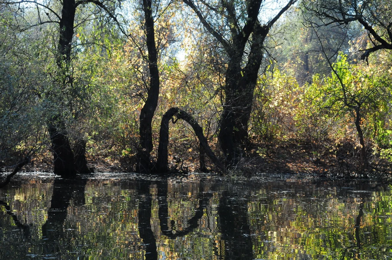 Réserve de biosphère du delta du Danube, Roumanie, Ukraine