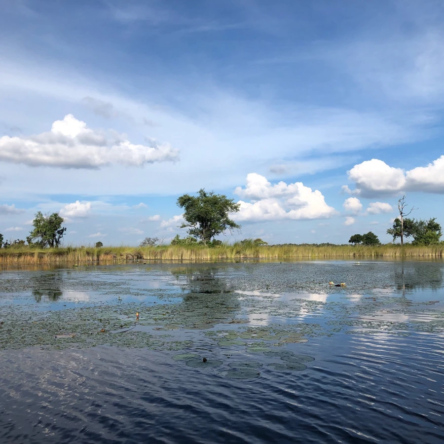 Xakanaxa Lagoon, Botswana