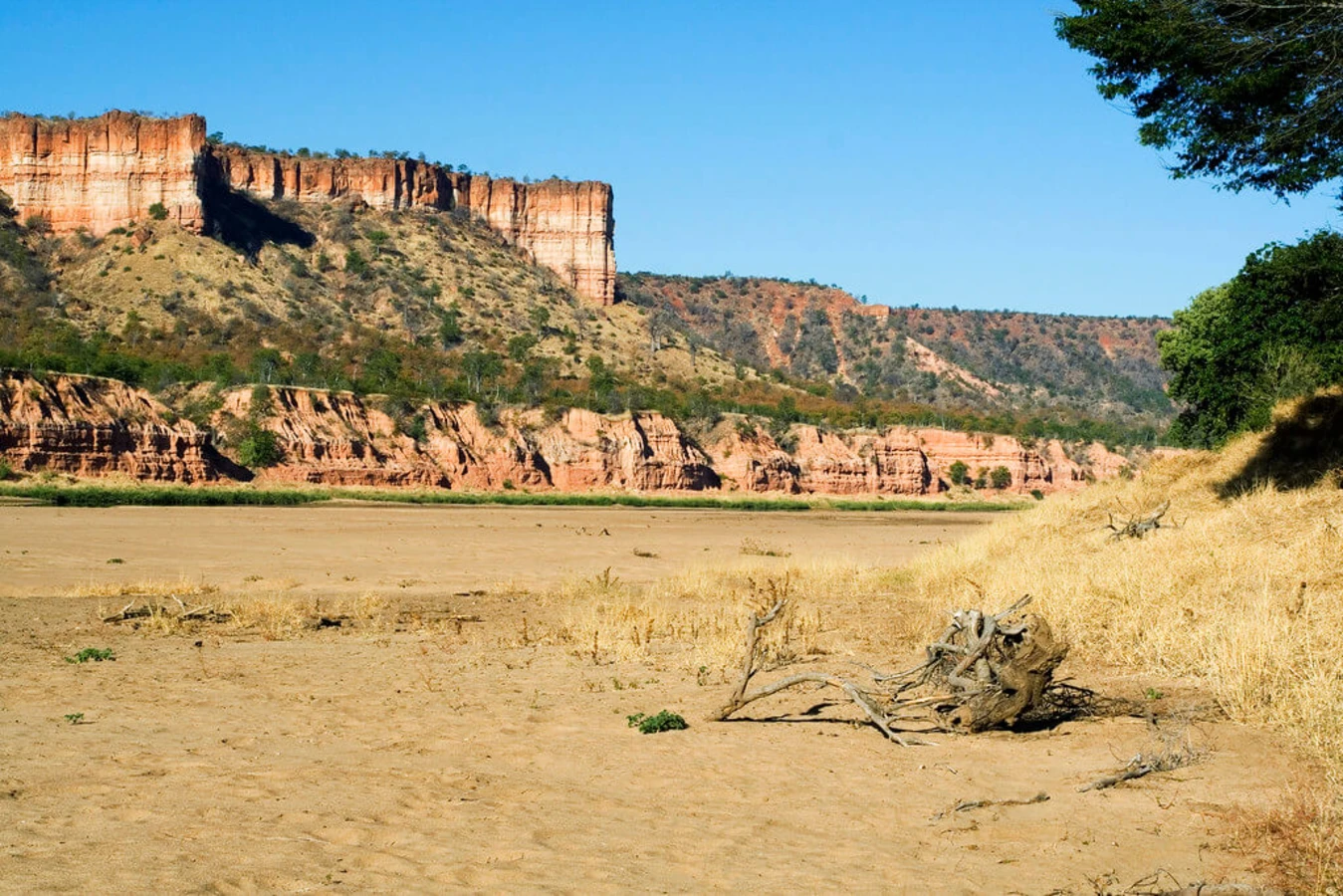 Parc national Gonarezhou, Zimbabwe