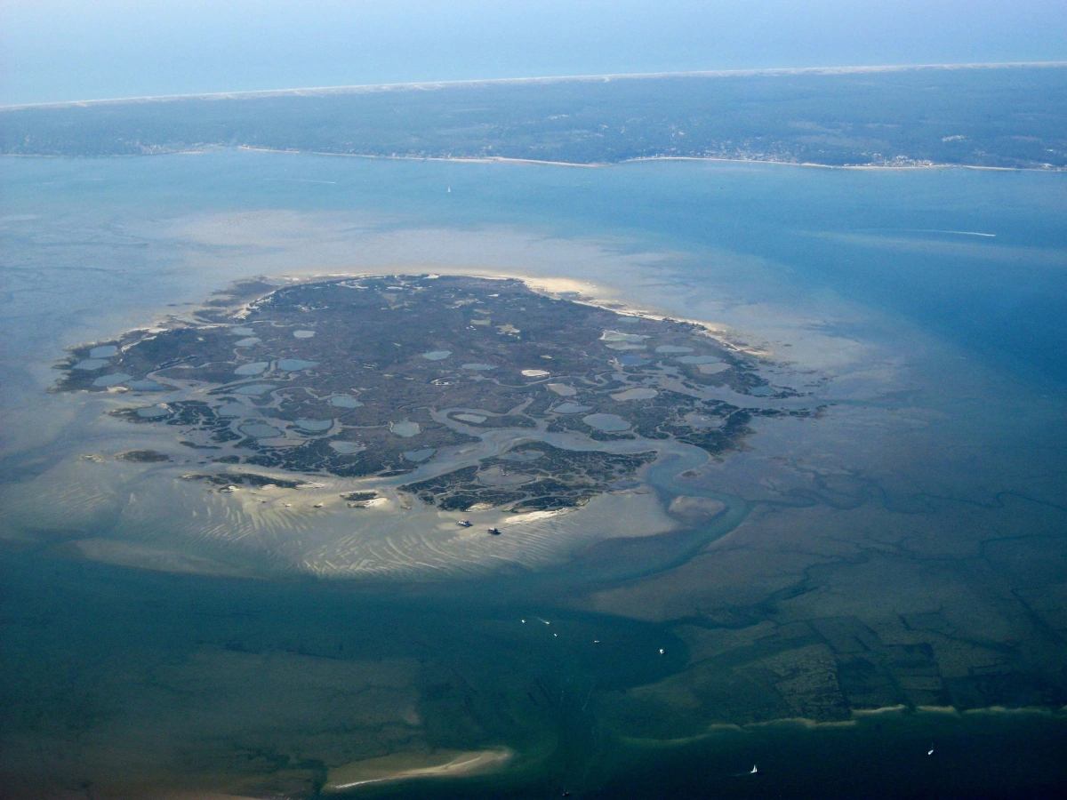 Île aux Oiseaux (Arcachon), France