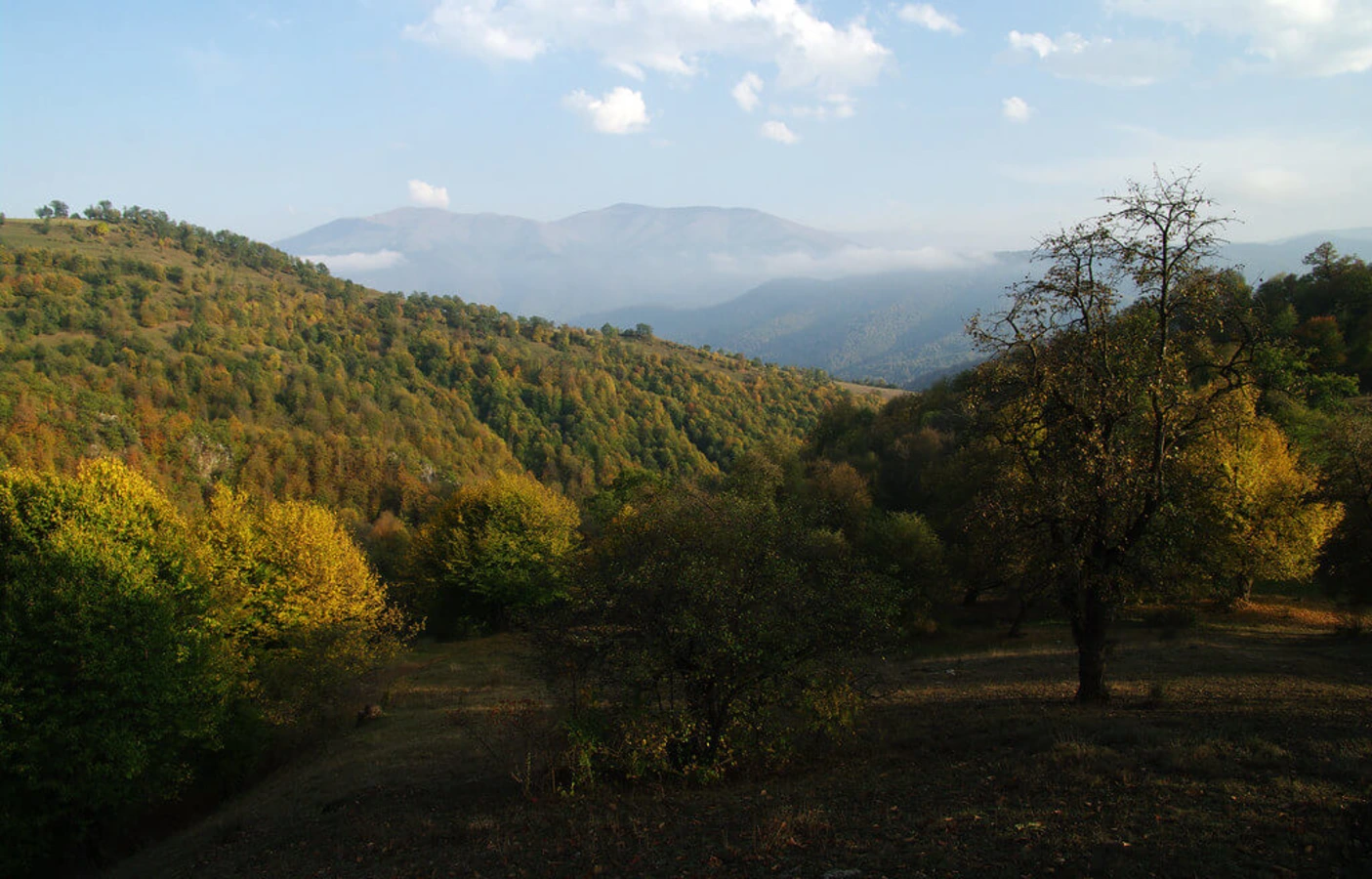 Parc national de Dilijan, Arménie