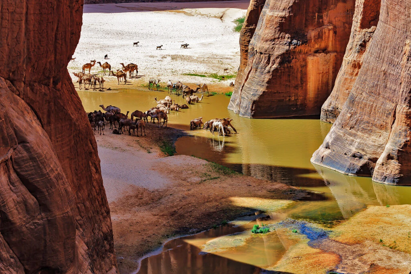 Plateau de l'Ennedi, Tchad